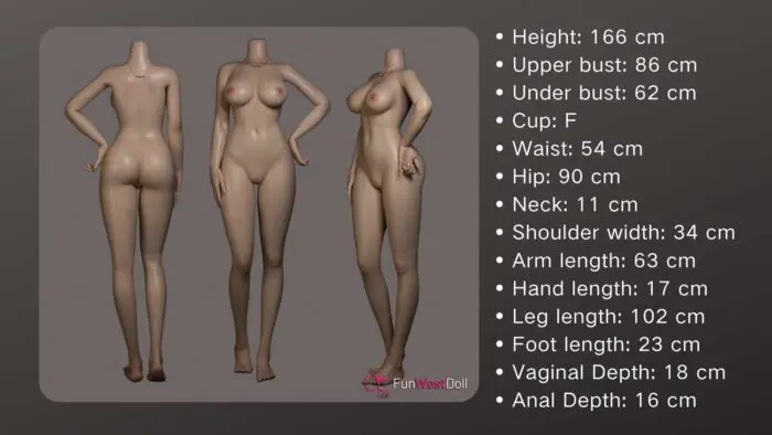 Alexa – 5’5″ | 166cm Sex Doll - Image 31