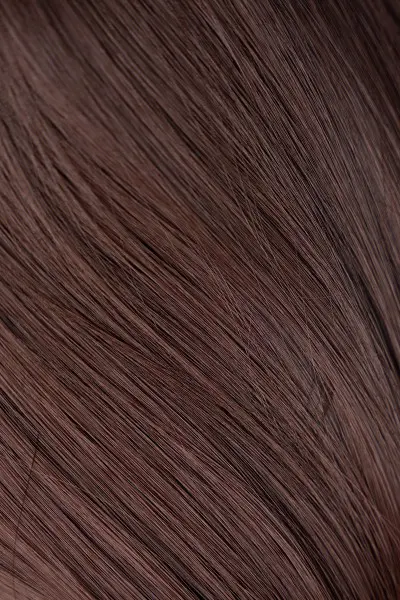 Chestnut