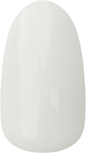 Z01
